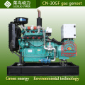 4 Zylinder 30kw Erdgas Biogas-Generator-Set